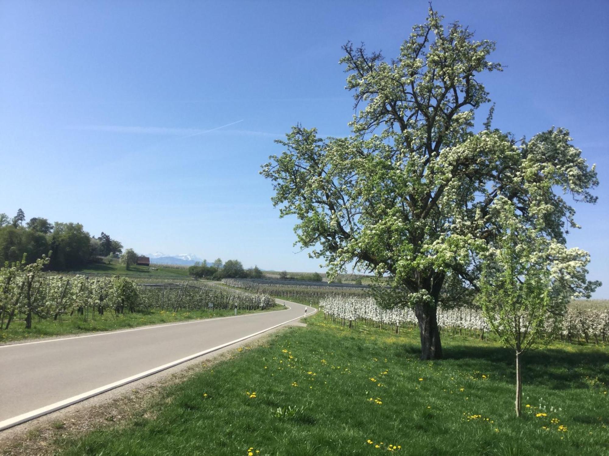Maisonette Am See Nonnenhorn Luaran gambar