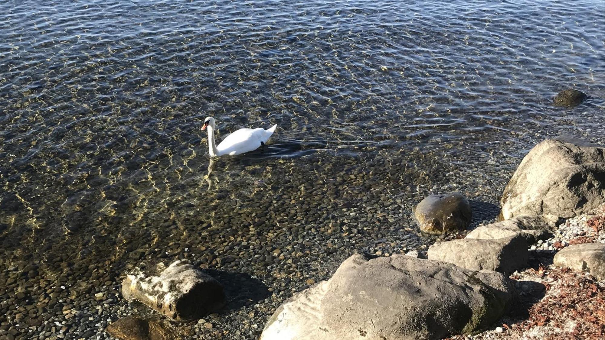 Maisonette Am See Nonnenhorn Luaran gambar